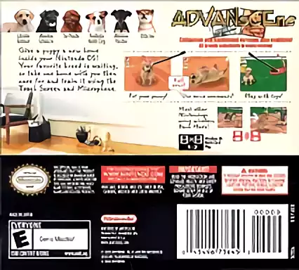 Image n° 2 - boxback : Nintendogs - Lab & Friends